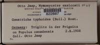 Image Associated With the Occurence